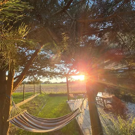 Cicho Sza Letniskowe