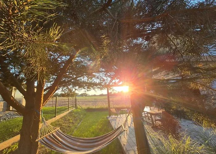 Cicho Sza Letniskowe